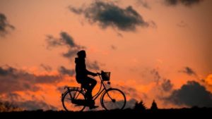 Día Internacional de la Bicicleta