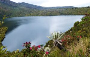 Reabren el parque natural Chingaza