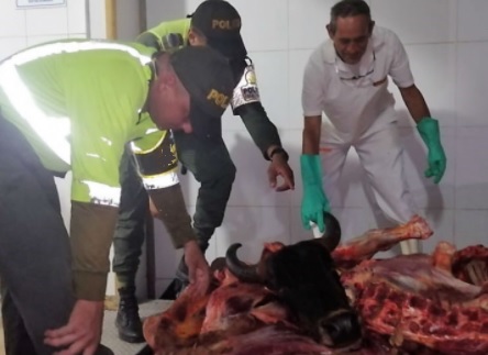 Decomisaron 290 kilos de carne dañada