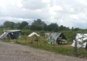 Descubren banda organizada dedicada a invasión de tierras