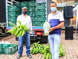 Innovación: Canasta llanera con 20 productos agrícolas