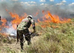 6 días lleva ardiendo el parque