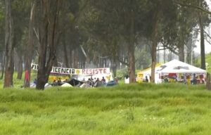 "Están encapuchados y cargan machetes"